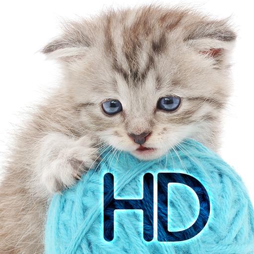 Кошки обои для телефона