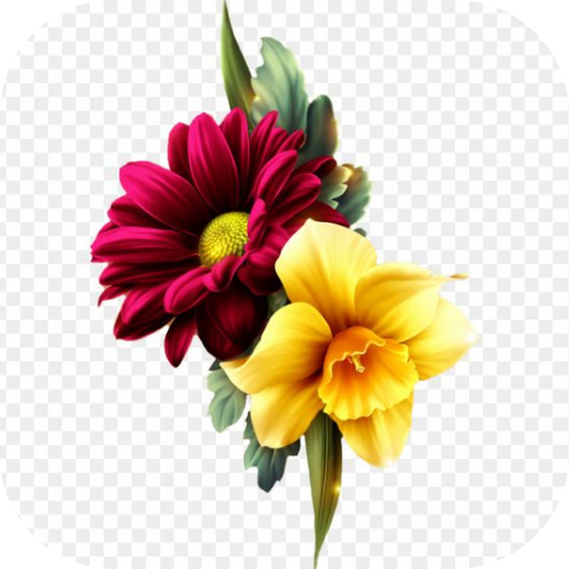 flower images