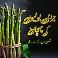 छवियों के साथ जड़ी बूटियों की