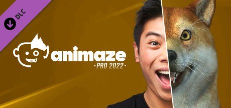 Animaze Pro 22 - Lifetime License