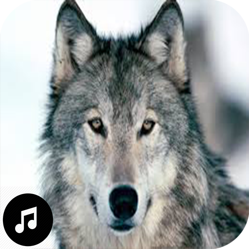 Wolf Sounds Ringtones