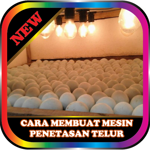 membuat mesin penetasan telur