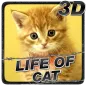 Life of Cat