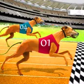 Dog Racing game - dog games