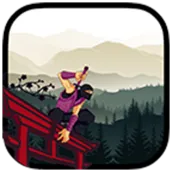 Ninja pro