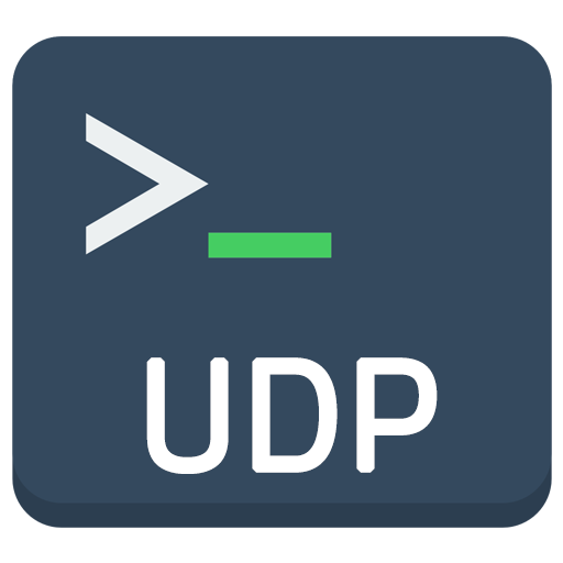 UDP Terminal