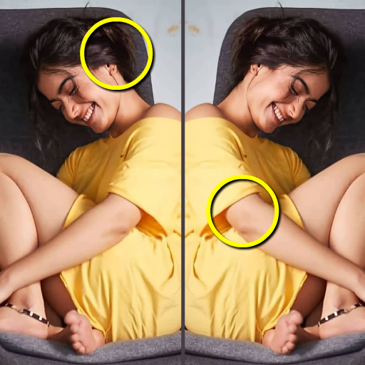 Picture Difference 10Mb Puzzle