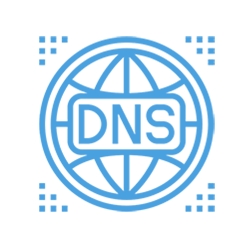 DNS Record Lookup