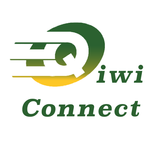 Qiwi Connect