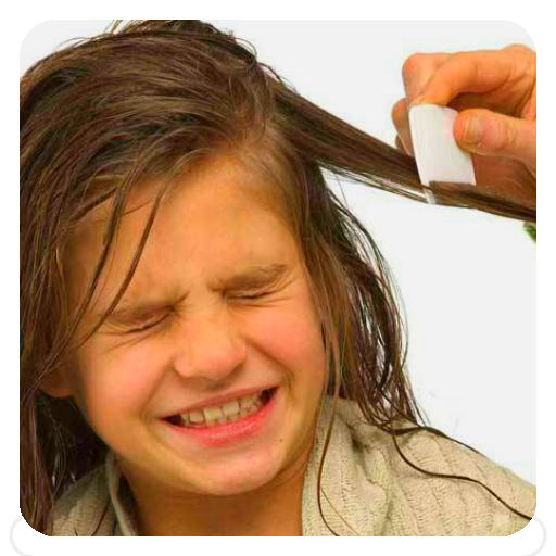 Head Lice Tips