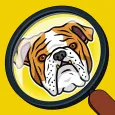 Search & Find - Hidden Objects