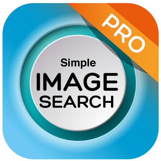 search by image on web