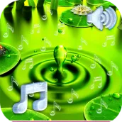 Water Drop Ringtone