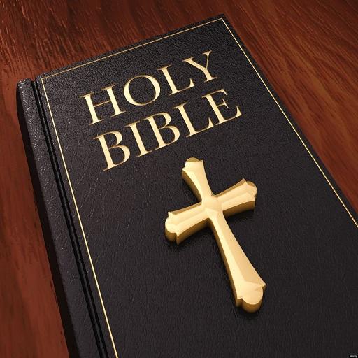 Holy Bible- English, Hindi, Ta