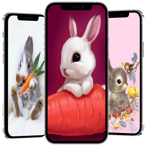 cute rabbit wallpaper