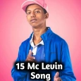 15 mc levin Song