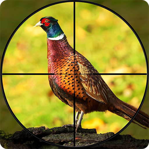 Memburu Burung Penemb Pheasant