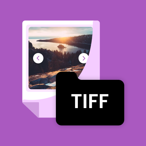 Tiff File Viewer: Converter