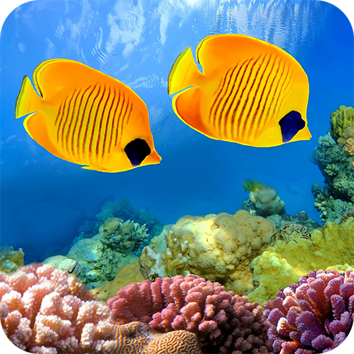 Aquarium Wallpapers