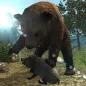 Urso real Simulator