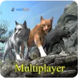 Cat Multiplayer