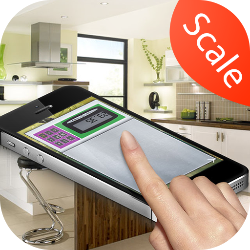 Kitchen Scale simulator