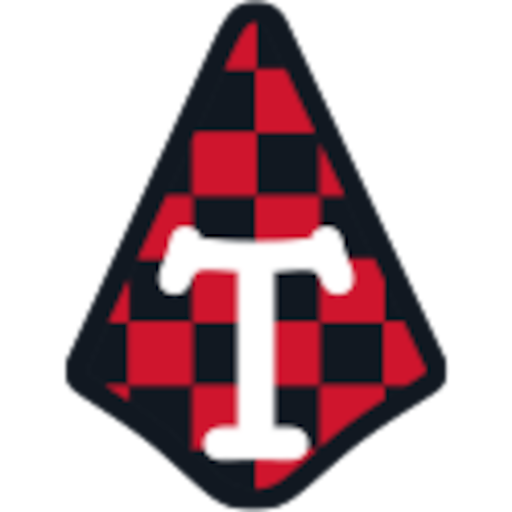 Tafl Champions: Ancient Chess