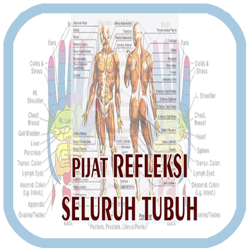 Pijat Refleksi : Organ Tubuh