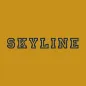 Skyline High School - UT