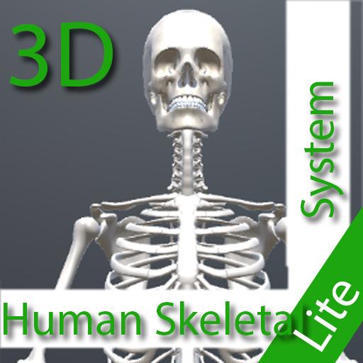 Human Skeletal System 3D