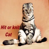 Cat hit or knit