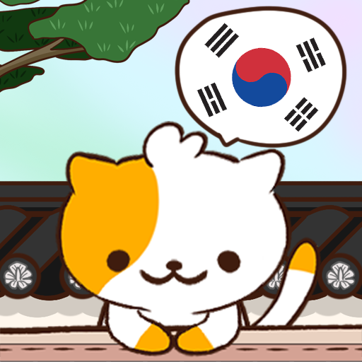 प्रश्नोत्तरी बिल्ली : कोरियाई