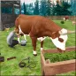 Hayvan Çiftliği Simülatörü