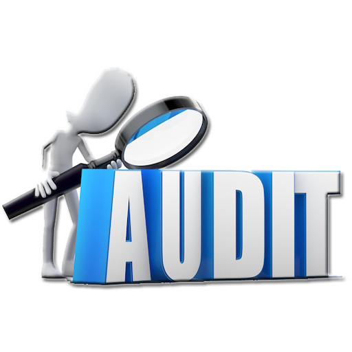 Learn Auditing