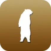 Free TunnelBear VPN Tips