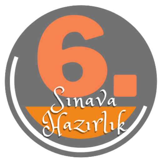 6. Sınıf Sınav Soruları