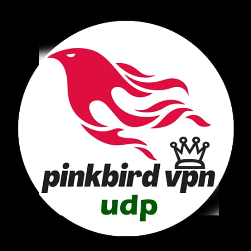 Pinkbird VPN UDP