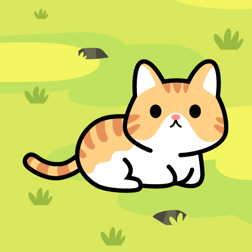 Taming a stray cat-Road kitty