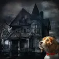 Lost dog: Scary house of horro