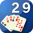 29 Card Game