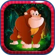 Super Monkey King Run : Wild J