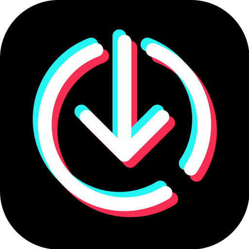 TikTok Video Downloader