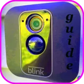 Blink Camera App Guide