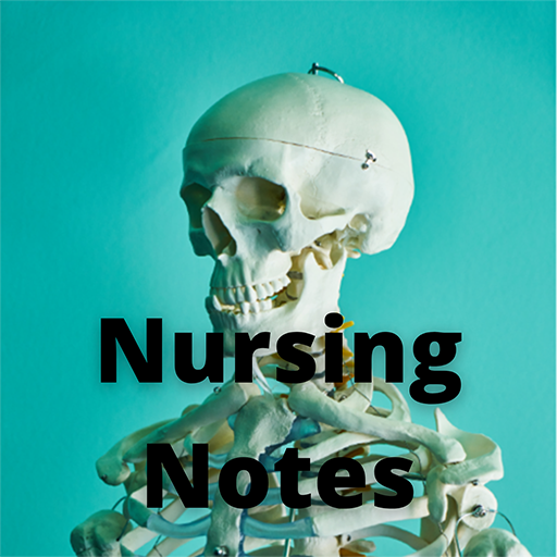 Best Nursing Notes App