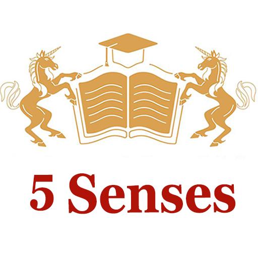 5 Senses