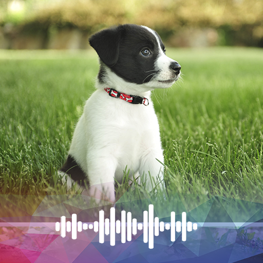 Dog sounds Ringtones