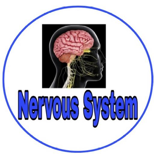 Nervous System