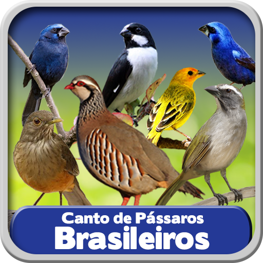 Canto de Pássaros Brasileiros