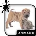 Cute Puppies Wallpaper Theme