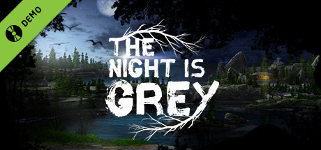 The Night is Grey Demo